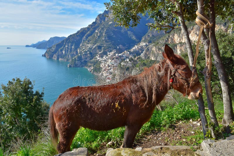 Panoramic view of the landscape on the Amalfi coast, Italy. Panoramic view of the landscape on the Amalfi coast, Italy.