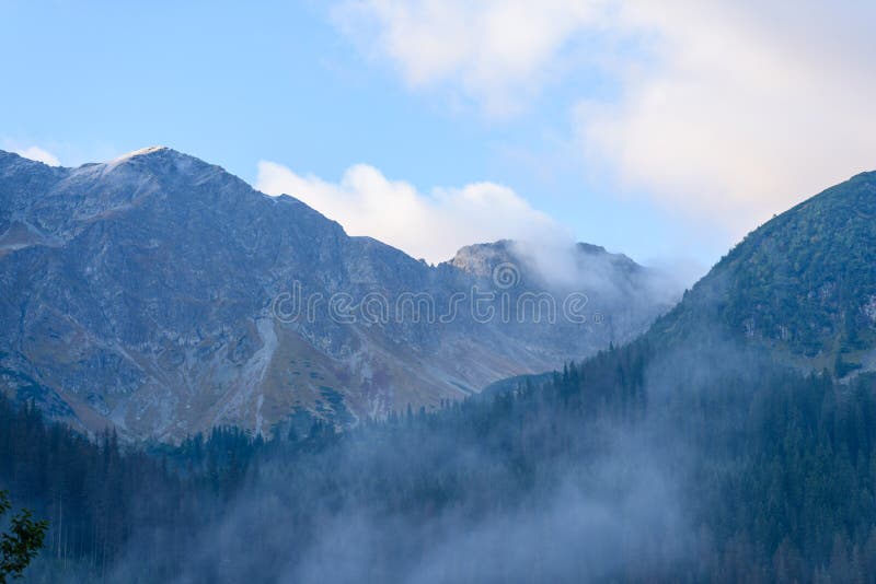 Panoramic view of misty forest in mountain area with mountains h