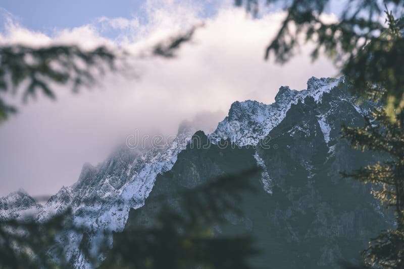 Panoramatický výhľad na hmlistý les v horskej oblasti s horami h