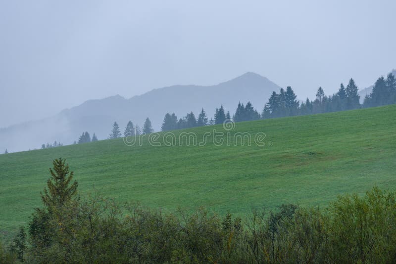 Panoramic view of misty forest in mountain area