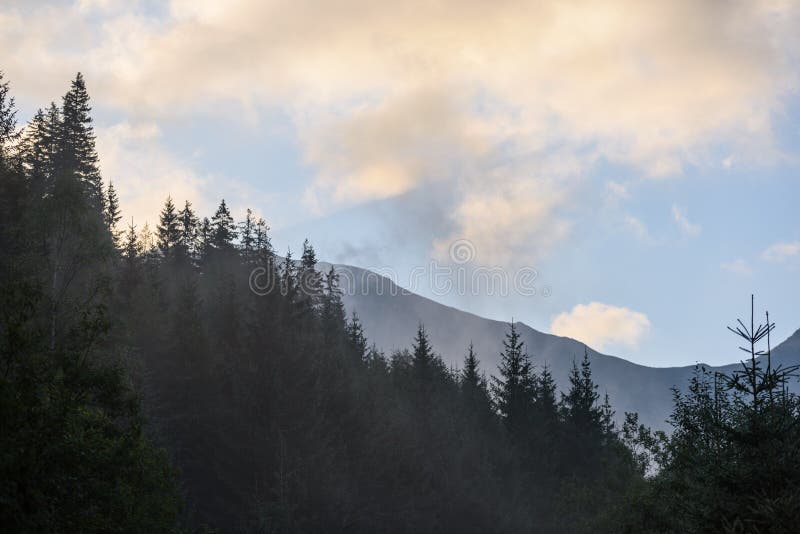 Panoramic view of misty forest in mountain area with mountains h