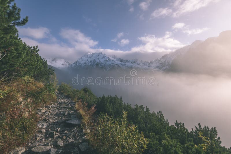 Panoramic view of misty forest in mountain area with mountains h