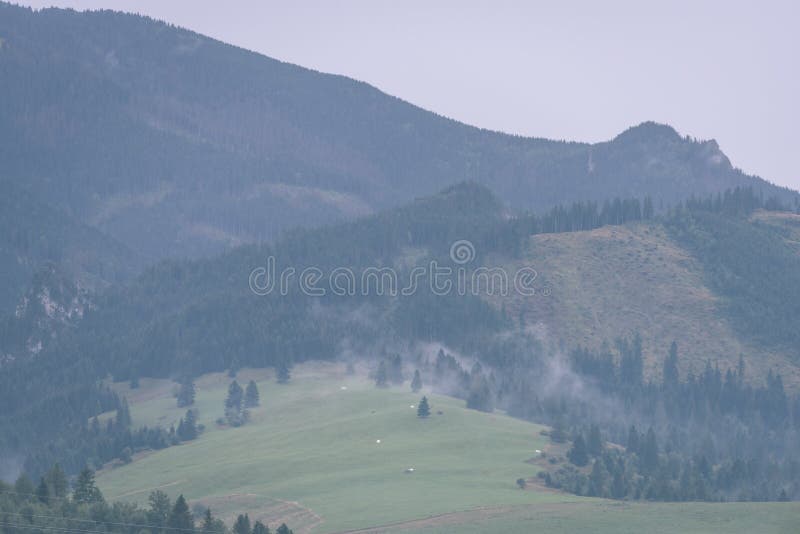 Panoramatický výhled na zamlžený les v horské oblasti vintage efekt