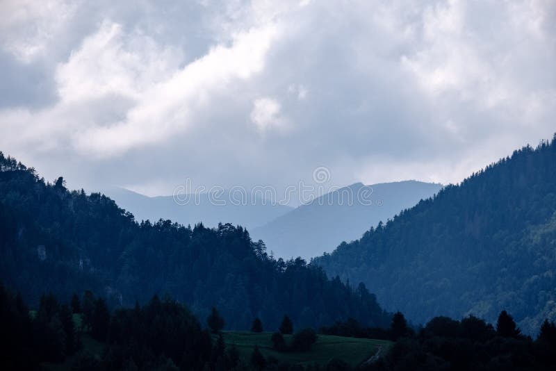 Panoramatický pohľad na hmlistý les v západných Karpatoch.