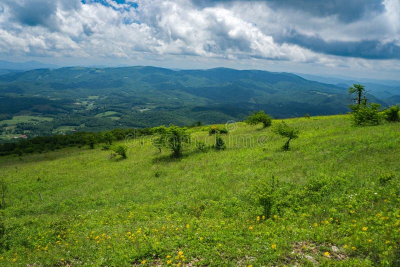 Panoramic View from Whitetop Mountain, Grayson County, Virginia, USA Editorial Photography
