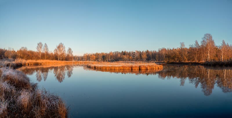 Panoramic view of Northern swamp in a beautiful sunny autumn day stock photography