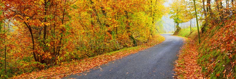 Panoramic view of road in autumn stock image Panoramic view of road in autumn stock image