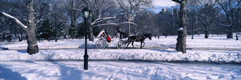 Panoramic view of snowy city street lamps, horse and carriage in Central Park, Manhattan, New York City, NY on a sunny winter day stock photos Panoramic view of snowy city street lamps, horse and carriage in Central Park, Manhattan, New York City, NY on a sunny winter day stock photos