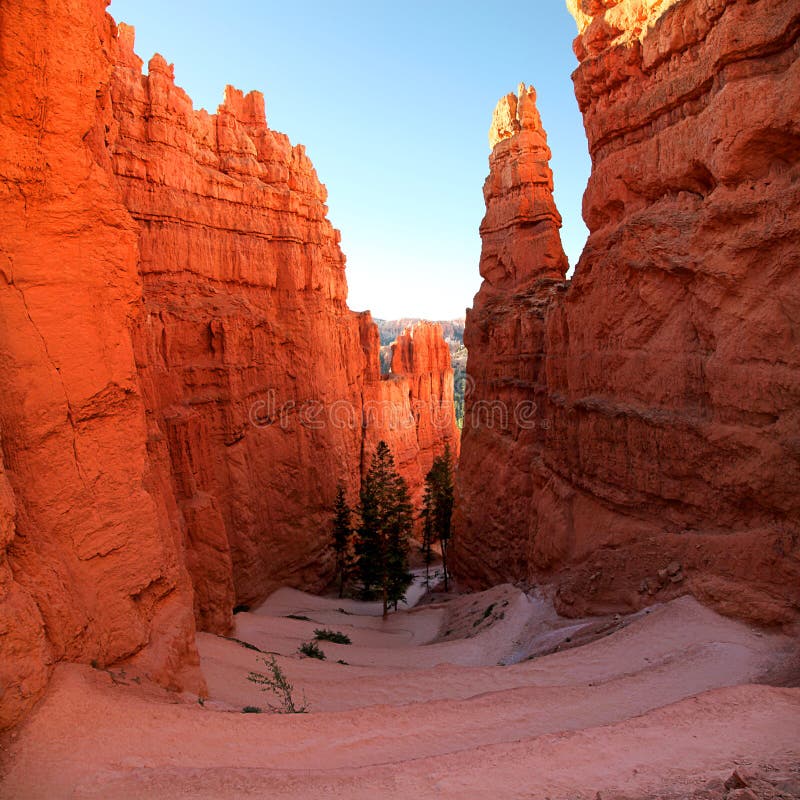 Panoramic view the switchback Navajo Trail in Bryce Canyon National Park