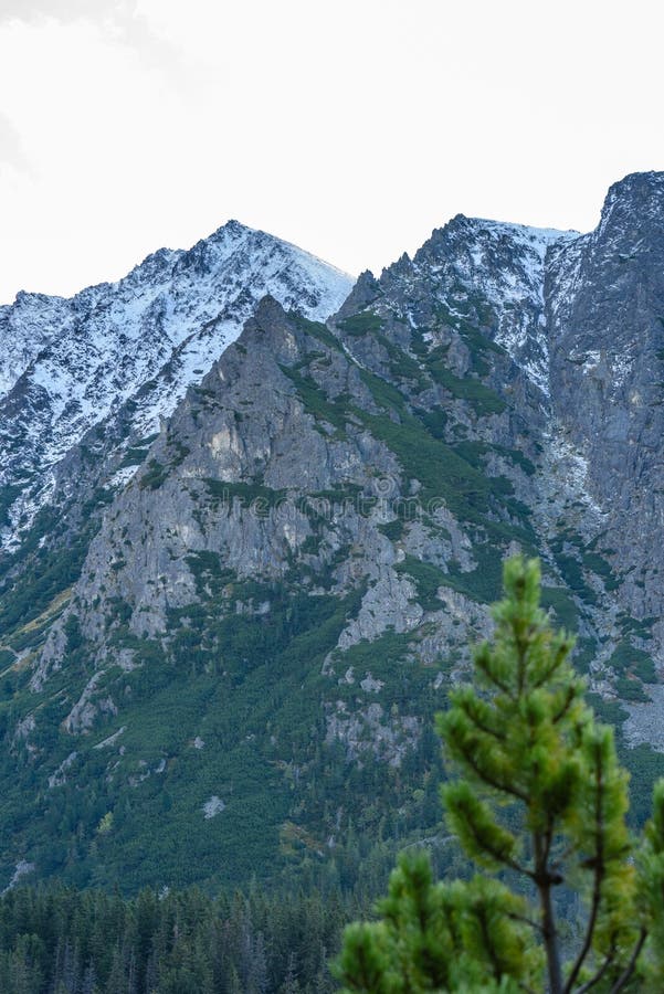 Panoramic view of Tatra mountains in Slovakia covered with snow