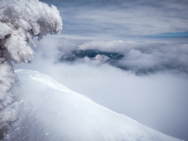 Panoramic view of Tatry Nizne