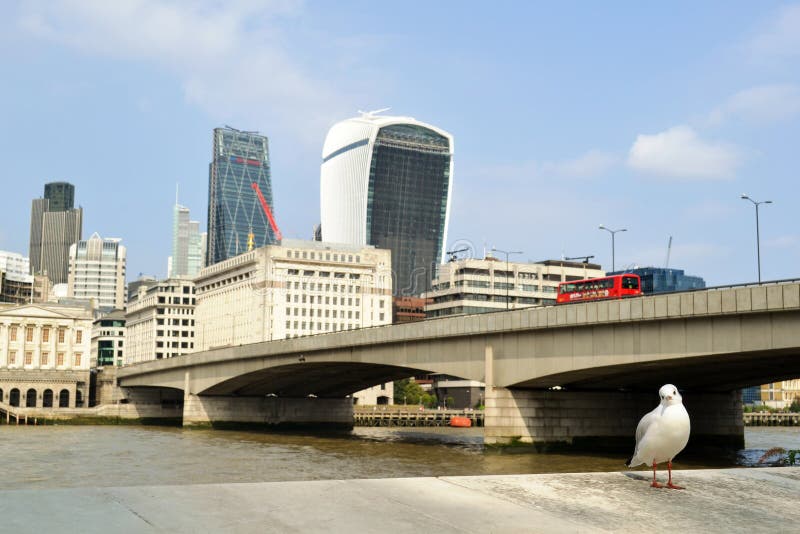 Seagull and the City of London, Thames river, Walkie-Talkie, the Cheesegrater and the London bridge.