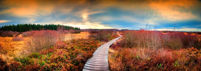 Panoramiczny jesień krajobraz z drewnianą ścieżką Spadek natury backgro