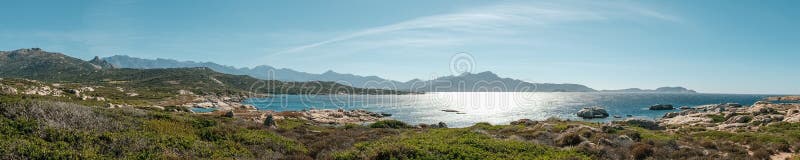 Panoramiczny widok Calvi zatoka w Corsica obraz royalty free