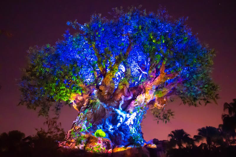 Orlando , Florida. May 03, 2019. Panoramic view of Illuminated Tree of Life on blue night background at  Animal Kingdom in Walt Disney World area 1. Orlando , Florida. May 03, 2019. Panoramic view of Illuminated Tree of Life on blue night background at  Animal Kingdom in Walt Disney World area 1