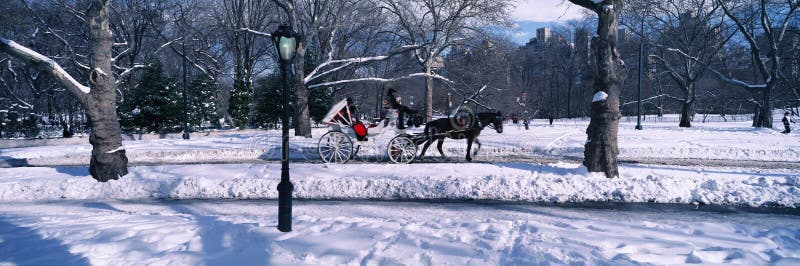 Panoramiczny widok śnieżne miasto latarnie uliczne, koń i fracht w central park, Manhattan, Miasto Nowy Jork, NY na pogodnym zima