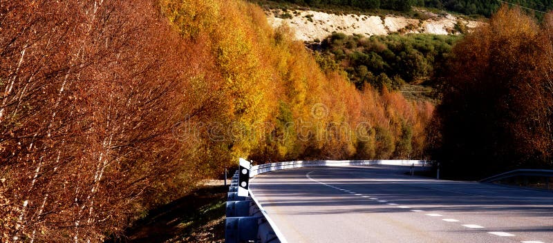Panoramische weg met de herfstkleuren en bomen stock foto Panoramische weg met de herfstkleuren en bomen stock foto