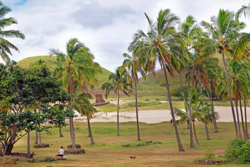 Panoramisk syn på palmgroven vid anakena-stranden och moai-statyer vid ahu Nonao-ceremonialcentret på påsk royaltyfri fotografi