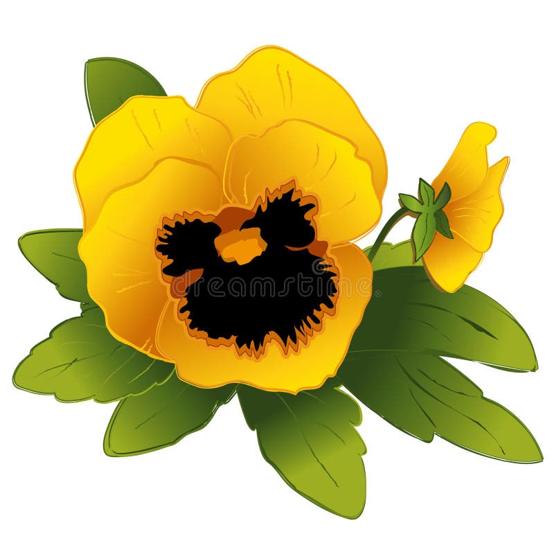 Pansy & germoglio dell'oro di +EPS illustrazione vettoriale Pansy & germoglio dell'oro di +EPS illustrazione vettoriale