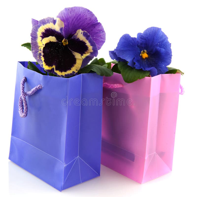 Pansy in bag