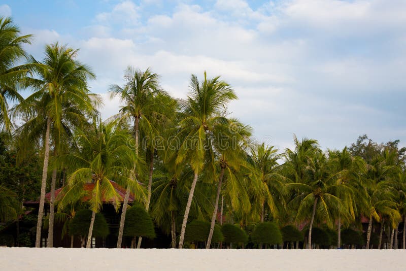 Pantai Cenang Beach Langkawi Island Stock Image - Image of exotic ...