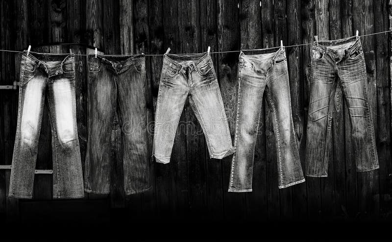 Pantalones vaqueros foto de archivo libre de regalías