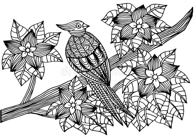 Papagaio, flores e folhas tropicais Página do livro para colorir para adultos e crianças, terapia da arte Desenho de esboço, gara ilustração royalty free Papagaio, flores e folhas tropicais Página do livro para colorir para adultos e crianças, terapia da arte Desenho de esboço, gara ilustração royalty free