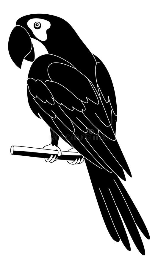 Clever speaking parrot sits on a wooden pole, black silhouette on white background. Clever speaking parrot sits on a wooden pole, black silhouette on white background.
