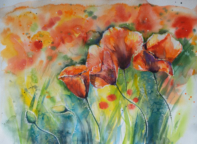 Red poppy on a field.Picture created with watercolors. Red poppy on a field.Picture created with watercolors.