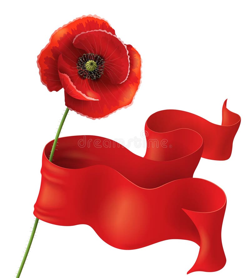 Poppy flower with red ribbon on white. Remembrance Day background. Poppy flower with red ribbon on white. Remembrance Day background.