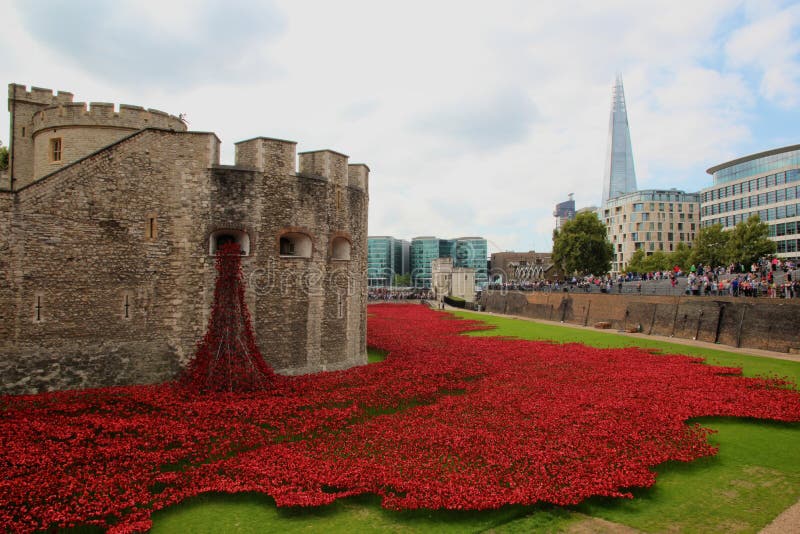 Papaveri ceramici alla torre di Londra fotografia stock Papaveri ceramici alla torre di Londra fotografia stock