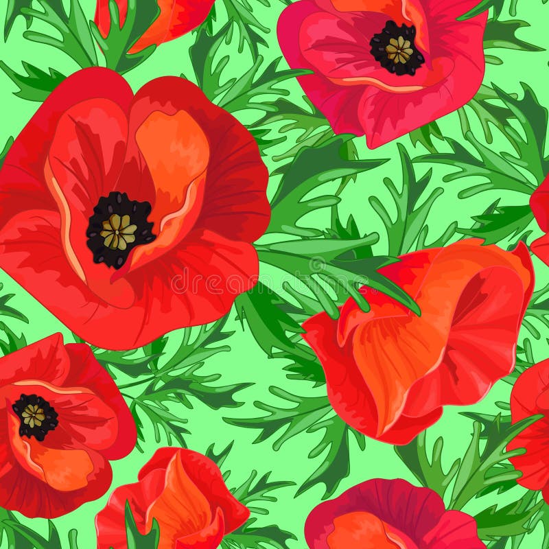Papaveri rossi, foglie verdi royalty illustrazione gratis Papaveri rossi, foglie verdi royalty illustrazione gratis