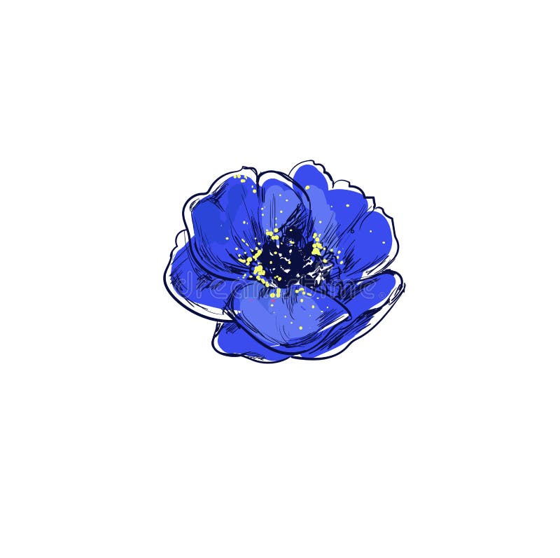 papavero Il bello manifesto disegnato a mano del vettore ha isolato le erbe e fiorisce le illustrazioni Raccolta medica ed organi royalty illustrazione gratis papavero Il bello manifesto disegnato a mano del vettore ha isolato le erbe e fiorisce le illustrazioni Raccolta medica ed organi royalty illustrazione gratis