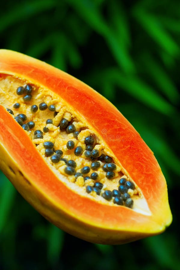 Yellow Papaya on Green Grass Stock Image Image of delicious