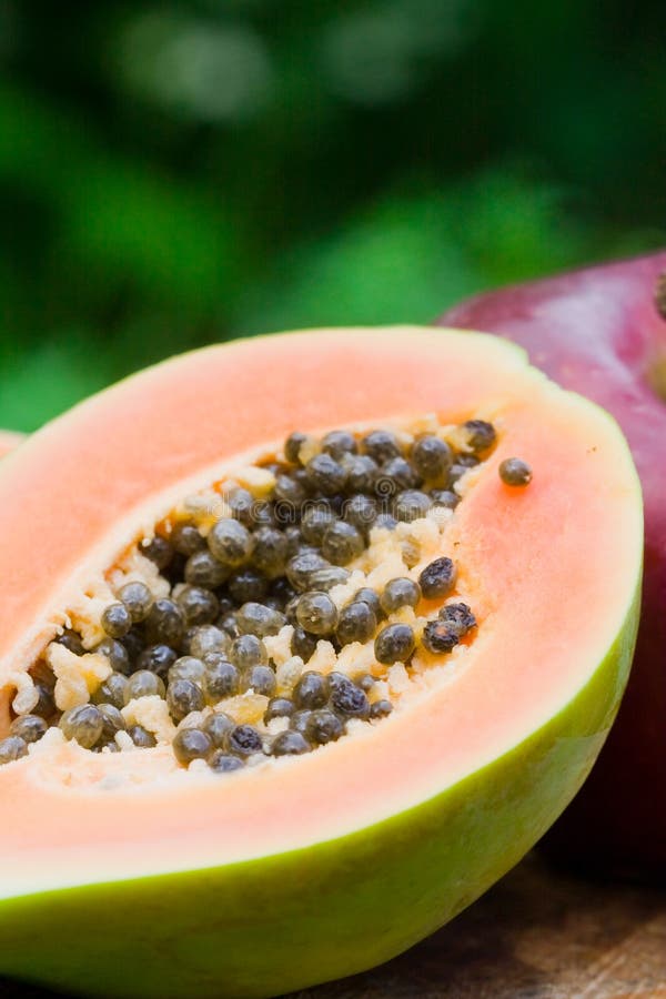 Papaya and apple stock photo. Image of fruit, exotic, papaya 6429434