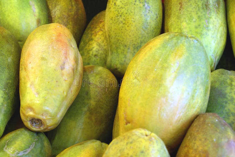 Papaya stock image. Image of green, papaya, nutrition 66362099