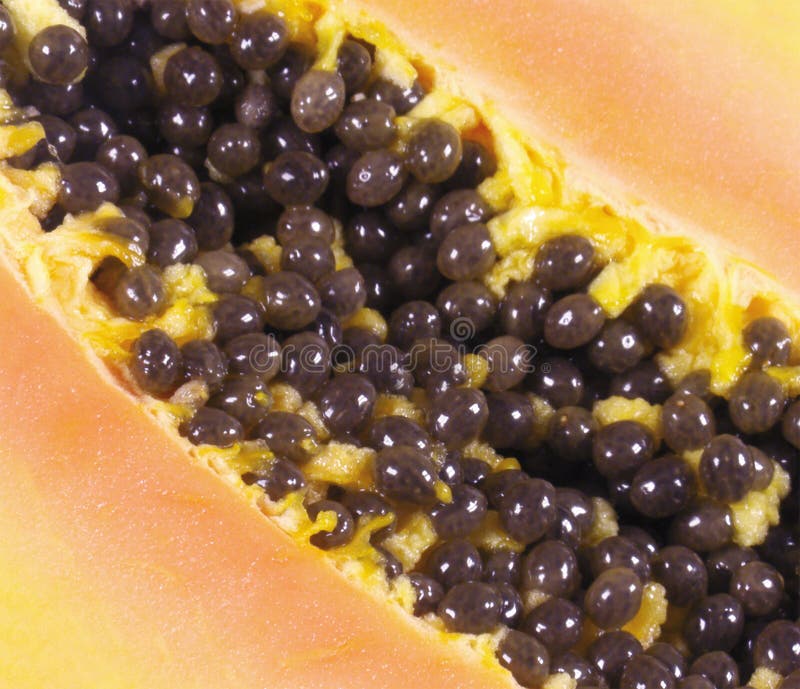 Cut up papaya fruit stock image. Image of delicious, natural 14587563
