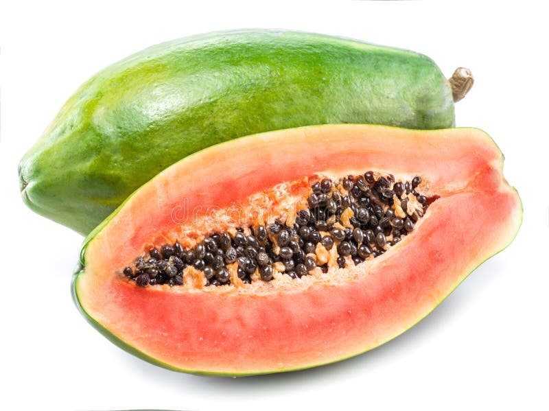Papaya Fruit Tree stock image. Image of group, office 48951813
