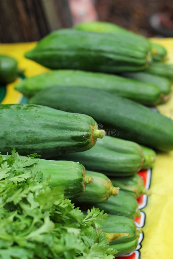Papaya fruit in the market stock photo. Image of freshness 44870722