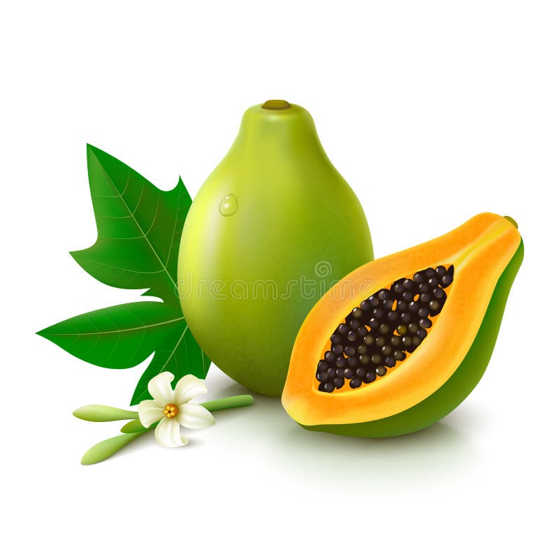 Papaya fruits with leaf and flower on white background