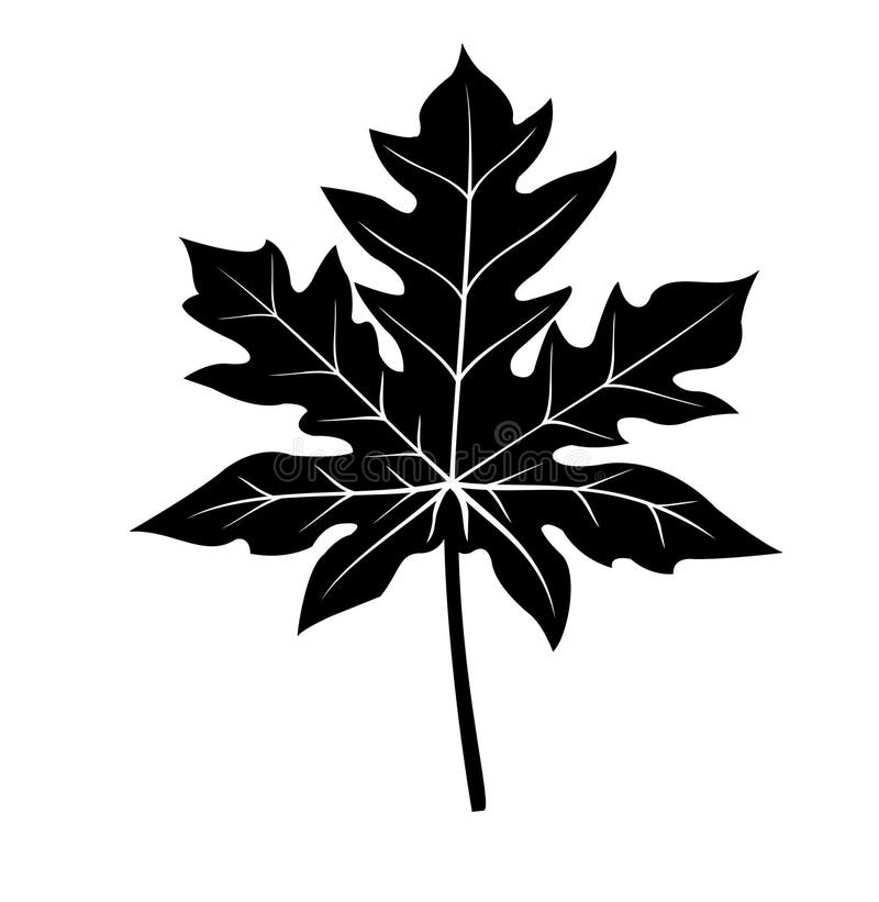 Papaya Leaf Black Silhouette Vector Stock Vector - Illustration of