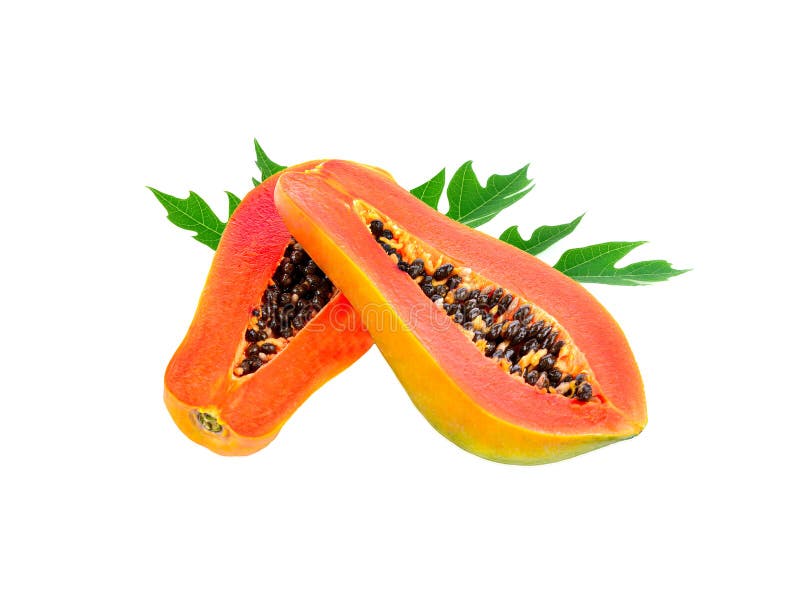 Papaya Leaf Isolated on White Stock Photo Image of large, leaf 261503198