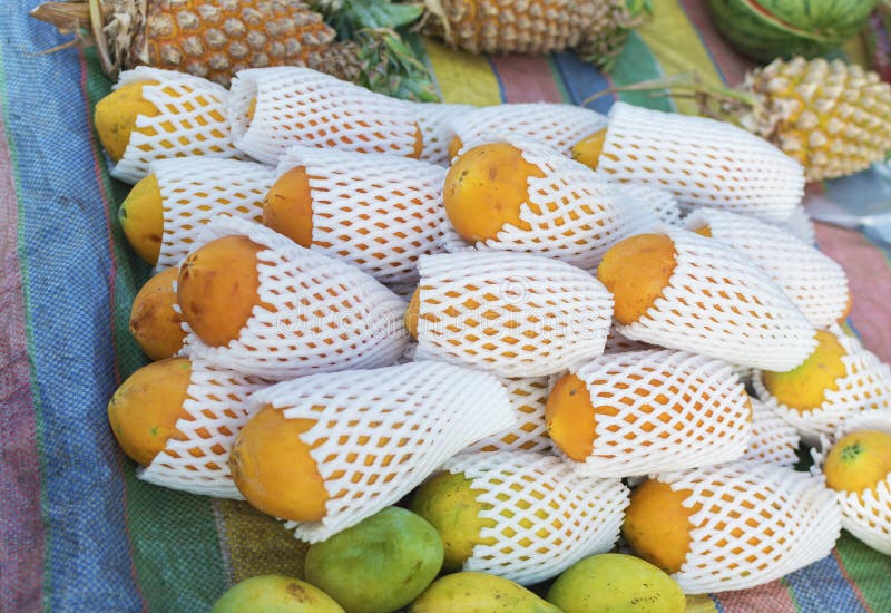 Papaya market. stock photo. Image of seeds, background 96363946