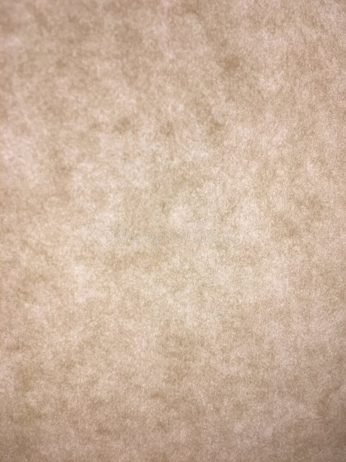 Papaya paper stock image. Image of papaya, paper, business 96482251