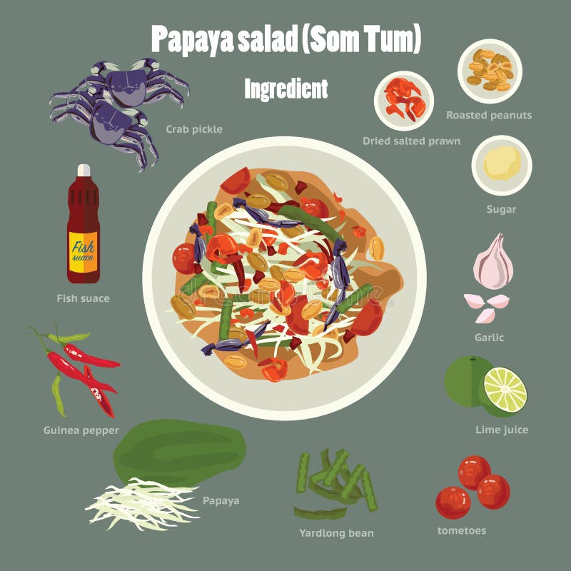 Papaya salad(Som Tum) stock illustration Papaya salad(Som Tum) stock illustration