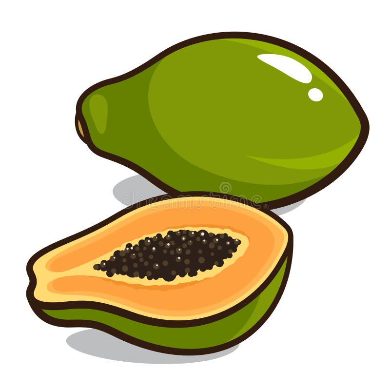 Fresh Papaya. Cartoon Vector Icon Isolated on White Stock Vector
