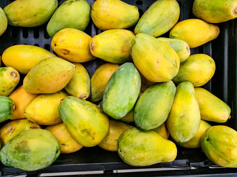 Papayas For Sale In Costa Rica Stock Photo Image of delicious, farm