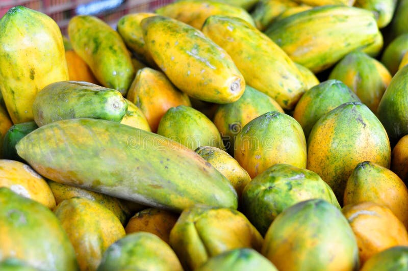 Papayas for Sale in Costa Rica Stock Photo Image of delicious, farm