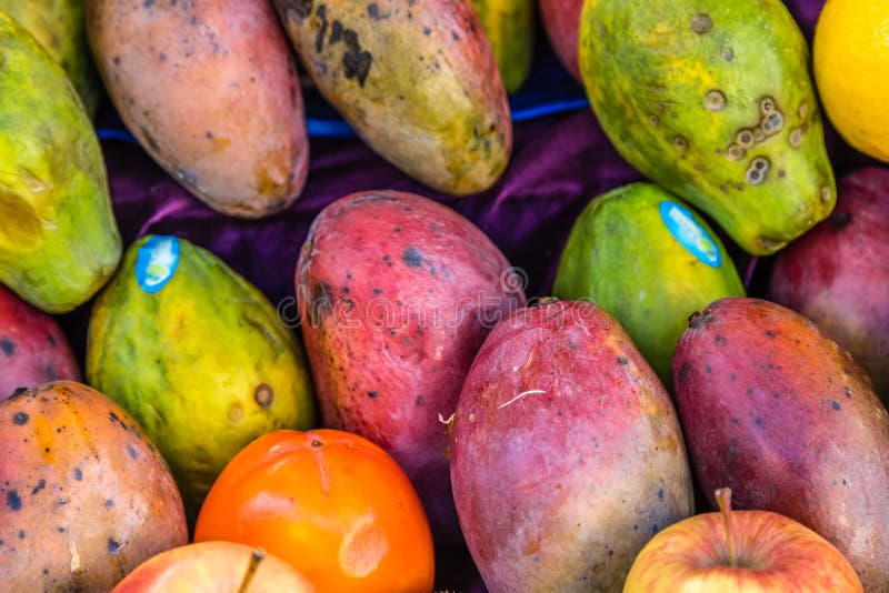 Papayas stock image. Image of black, white, fruit, color 135863855