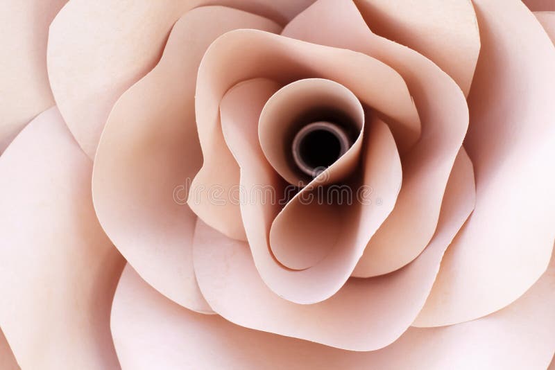 Pape kwitnie handmade wzrastał, pastelowy tło fotografia royalty free Pape kwitnie handmade wzrastał, pastelowy tło fotografia royalty free
